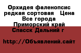 Орхидея фаленопсис редкая сортовая › Цена ­ 800 - Все города  »    . Приморский край,Спасск-Дальний г.